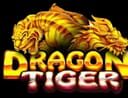 DRAGON VS TIGER MOD APK